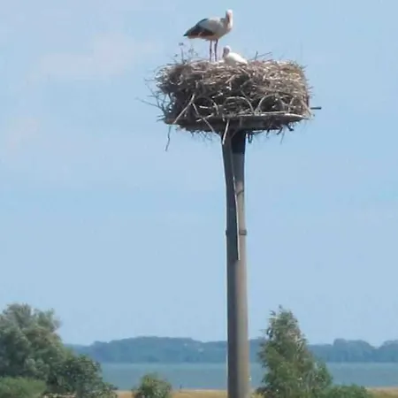 Haus Am Achterwasser - Ferienwohnung Im Eg *